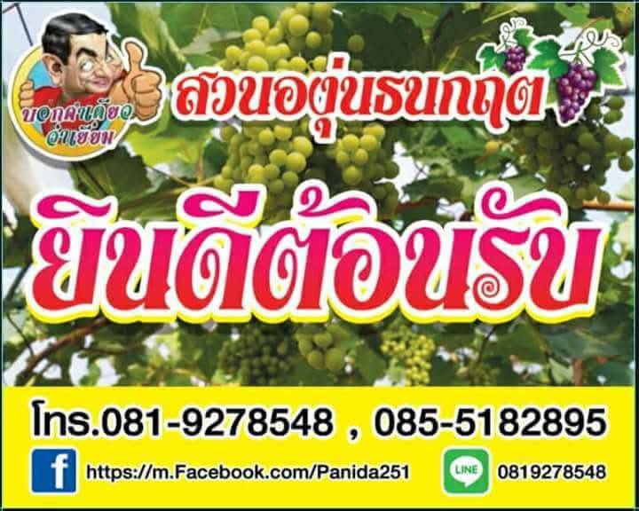 ภาพประกอบเนื้อหา